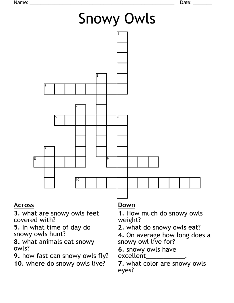 Snowy Owls Crossword
