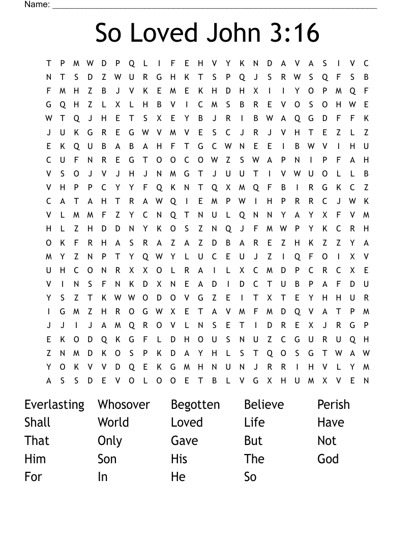So Loved John 3:16 Word Search