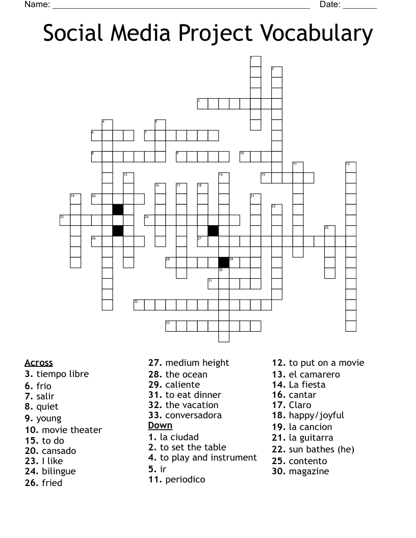 Social Media Project Vocabulary Crossword