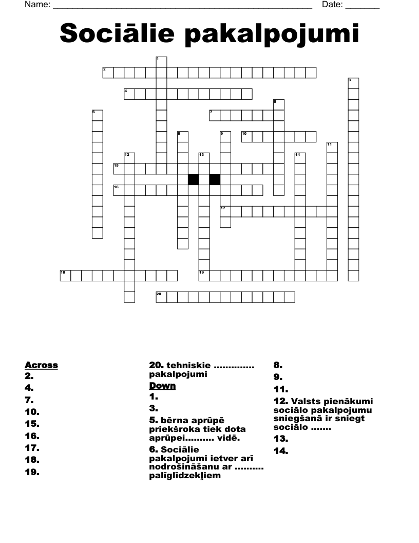 Sociālie pakalpojumi Crossword