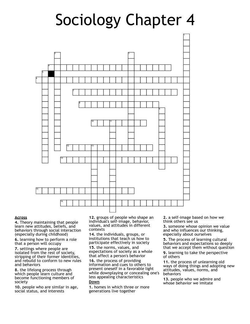 Sociology Chapter 4 Crossword