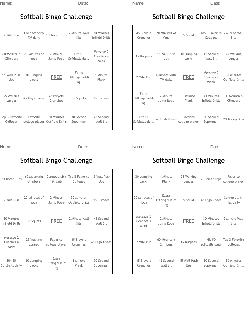 Softball Bingo Challenge