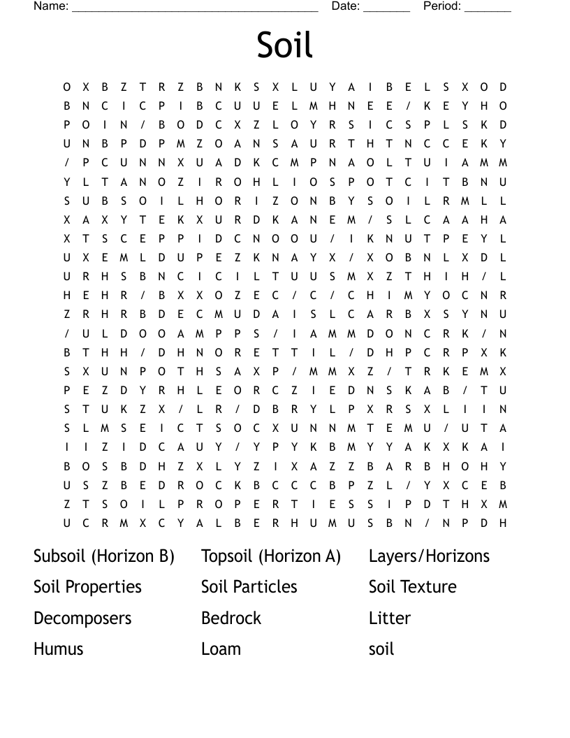 Soil Word Search