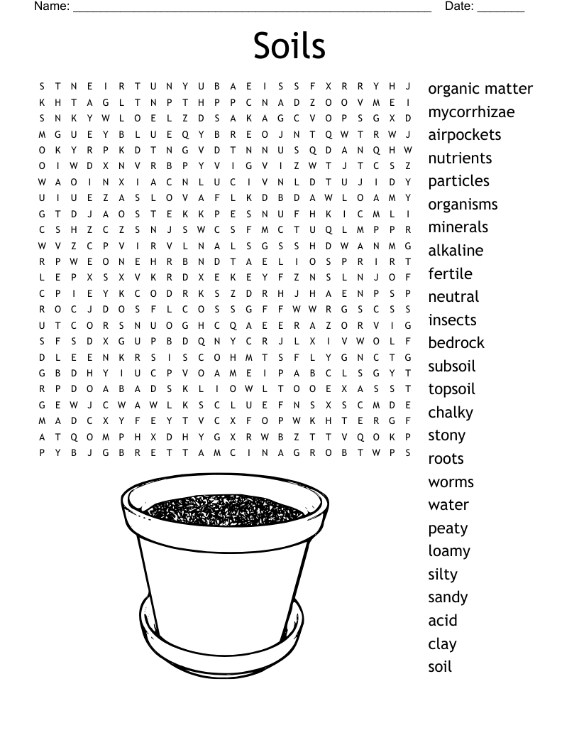 Soils Word Search
