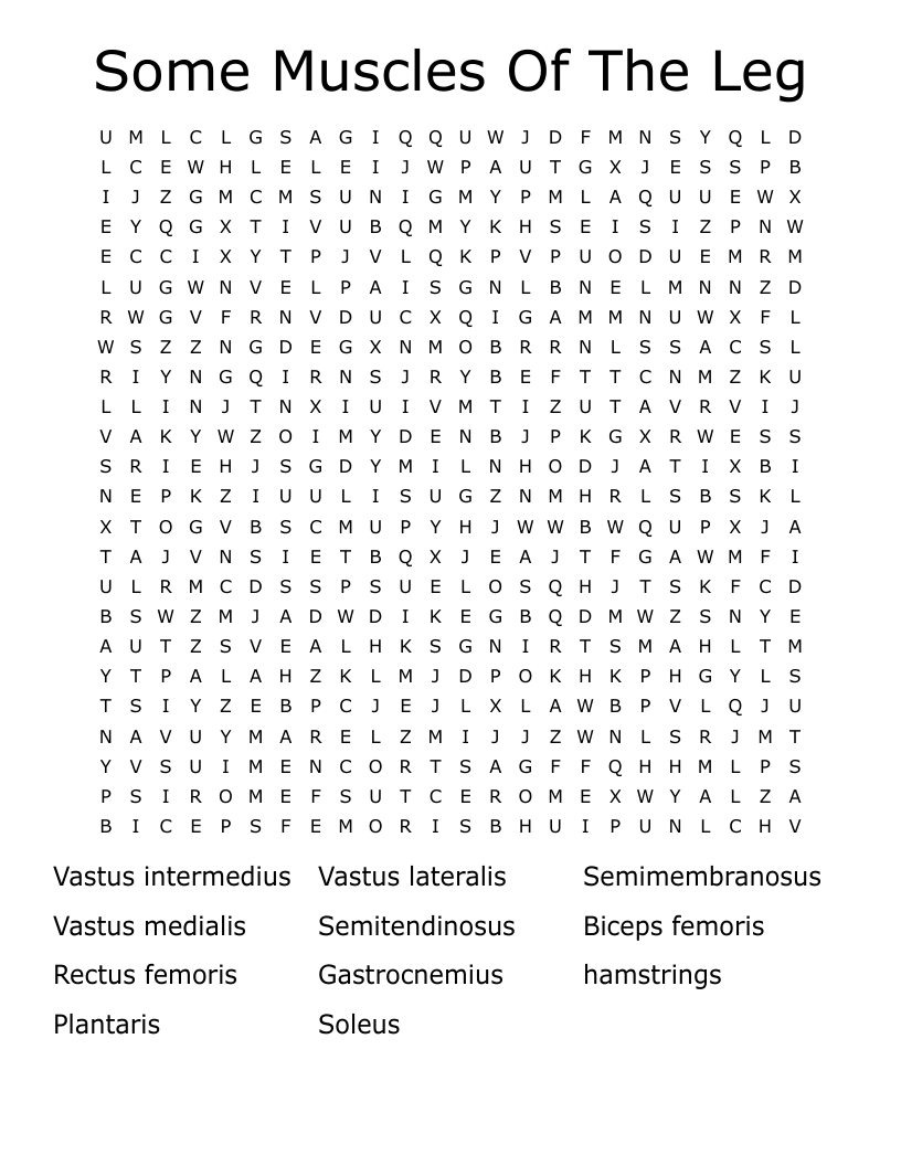 Some Muscles Of The Leg Word Search