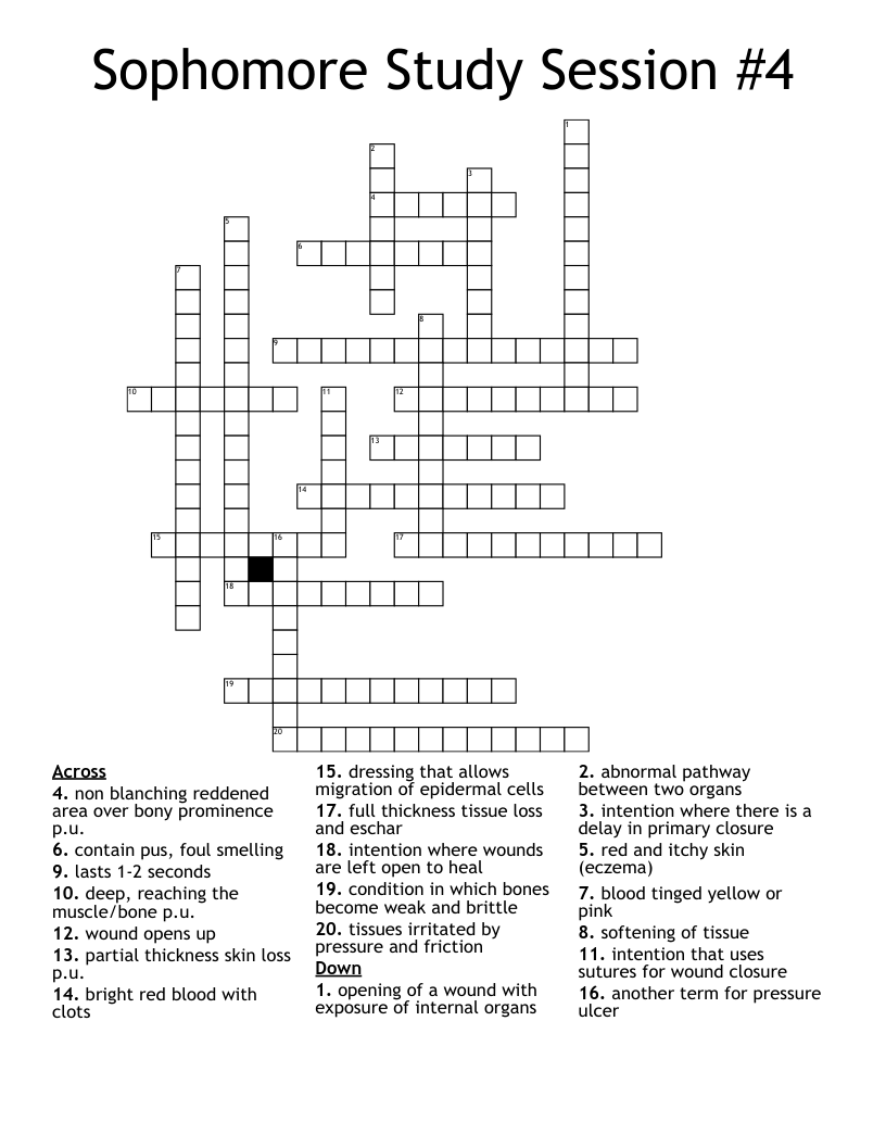 Sophomore Study Session #4 Crossword