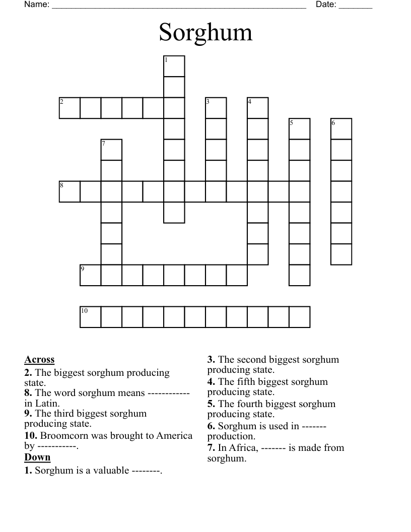 Sorghum Crossword