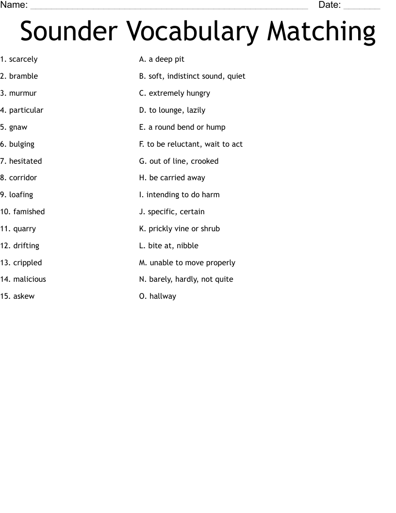 Sounder Vocabulary Matching Worksheet