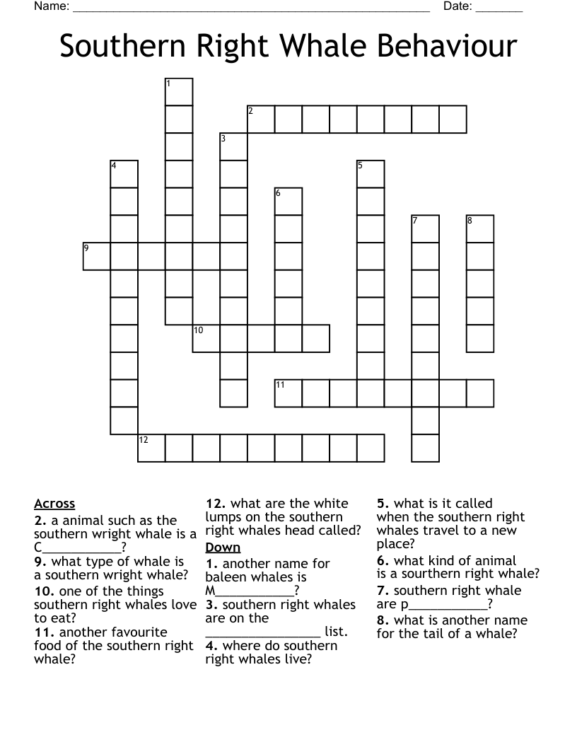 Southern Right Whale Behaviour Crossword