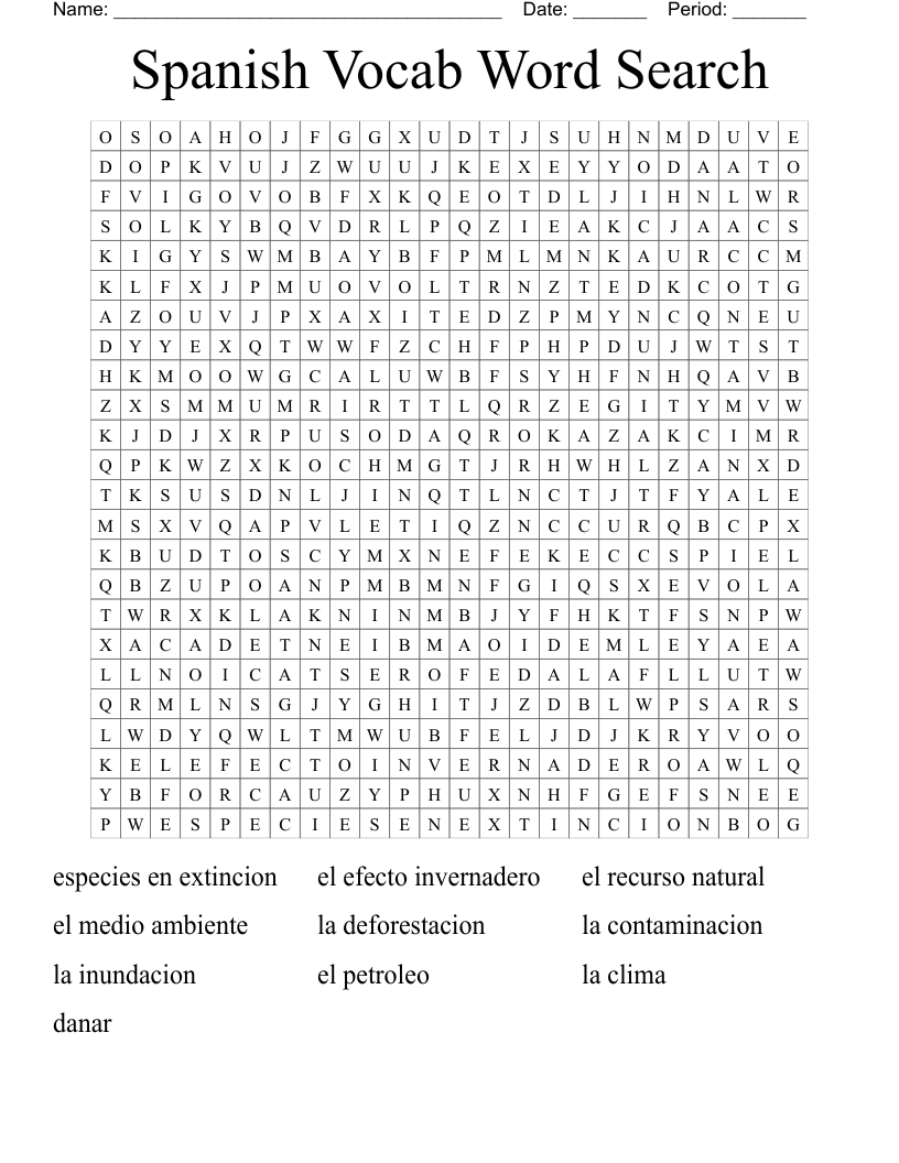 Spanish Vocab Word Search
