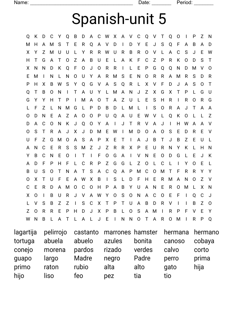Spanish-unit 5 Word Search