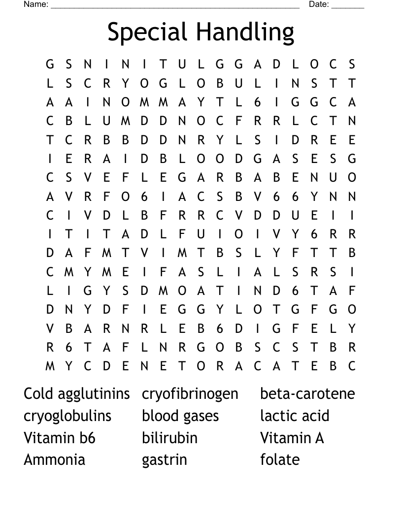 Special Handling Word Search