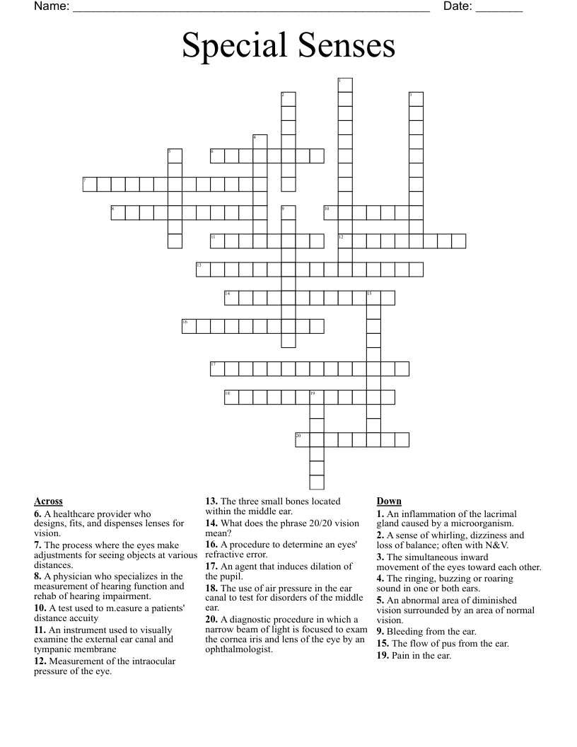 Special Senses Crossword