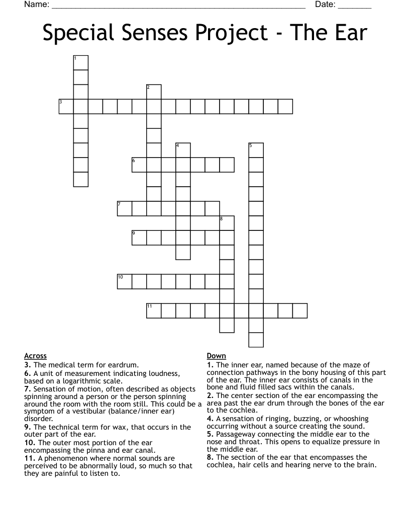 Special Senses Project - The Ear Crossword