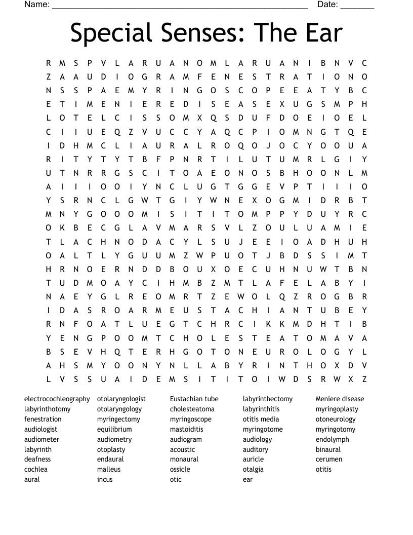 Special Senses: The Ear Word Search