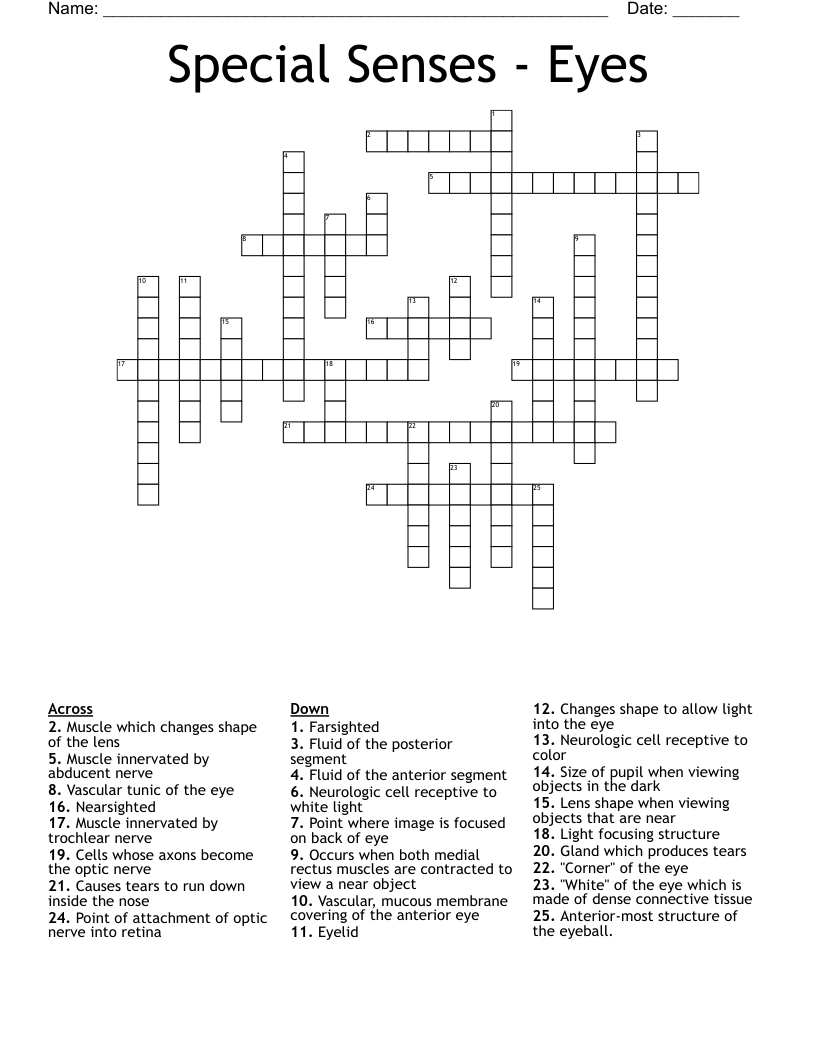 Special Senses - Eyes Crossword