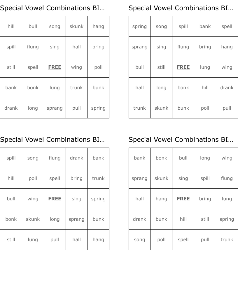 Special Vowel Combinations BINGO
