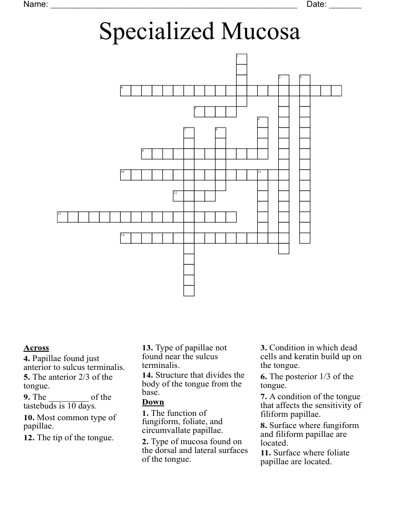 Specialized Mucosa Crossword
