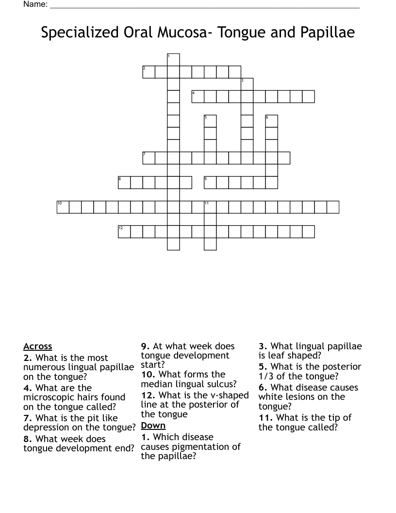 Specialized Oral Mucosa- Tongue and Papillae Crossword