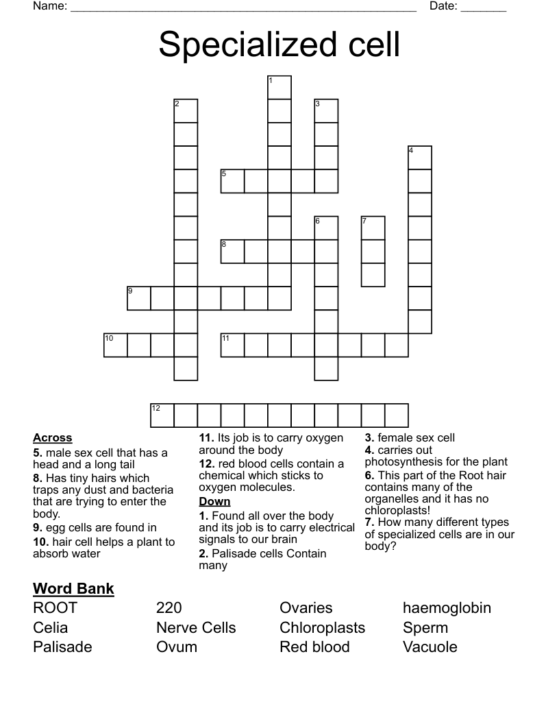 Specialized cell Crossword