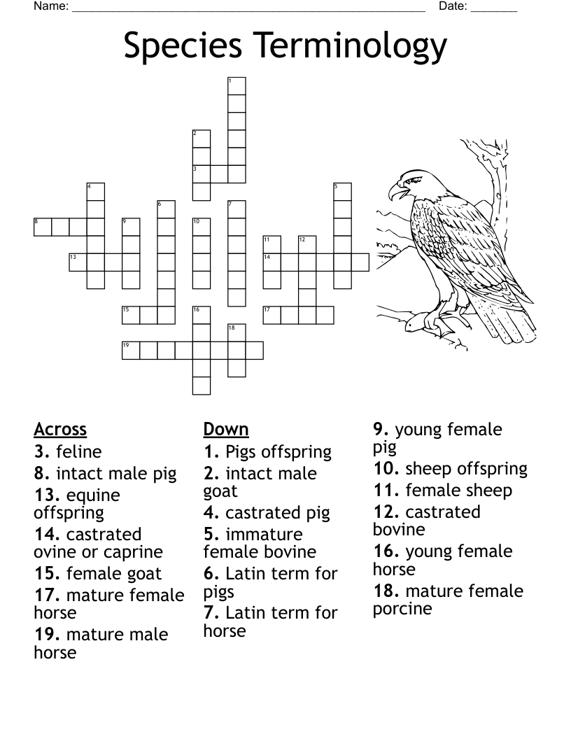 Species Terminology Crossword