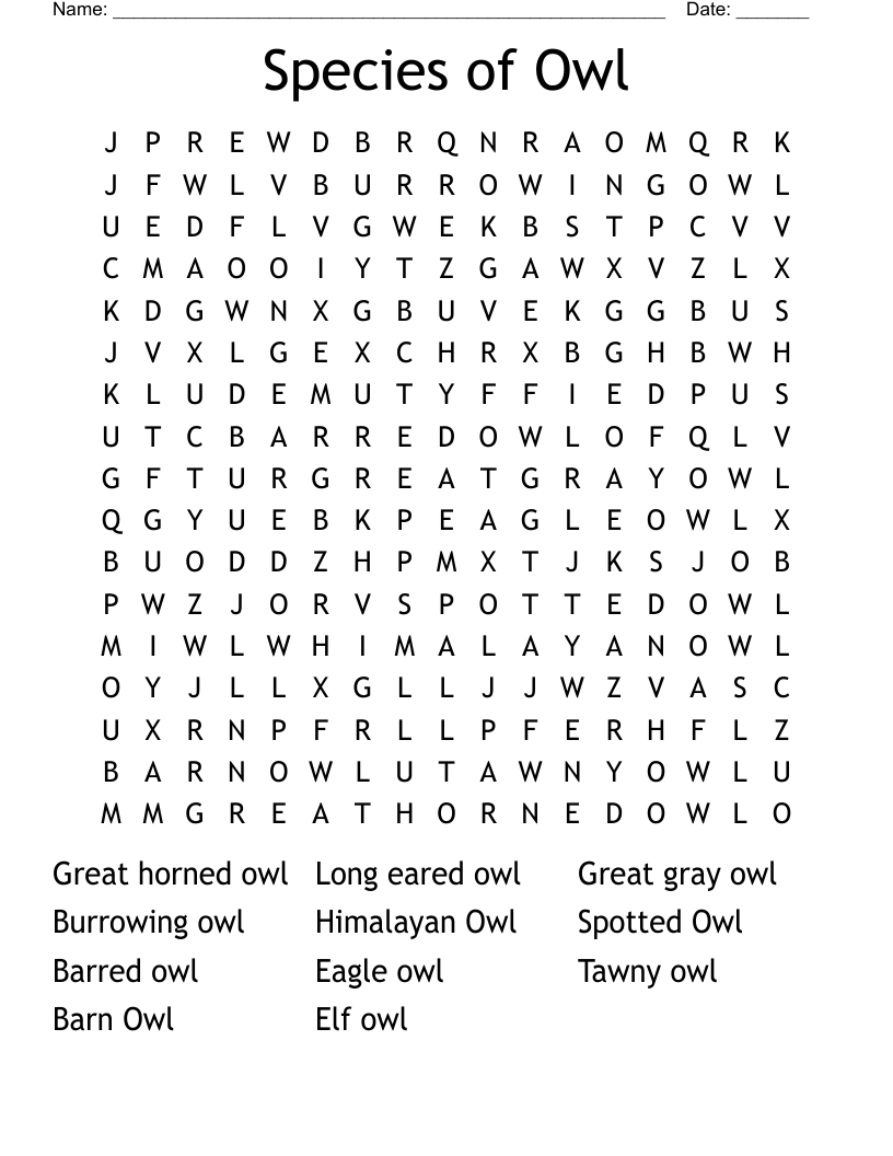 Species of Owl Word Search