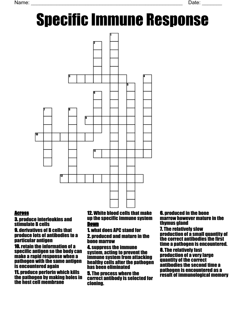 Specific Immune Response Crossword