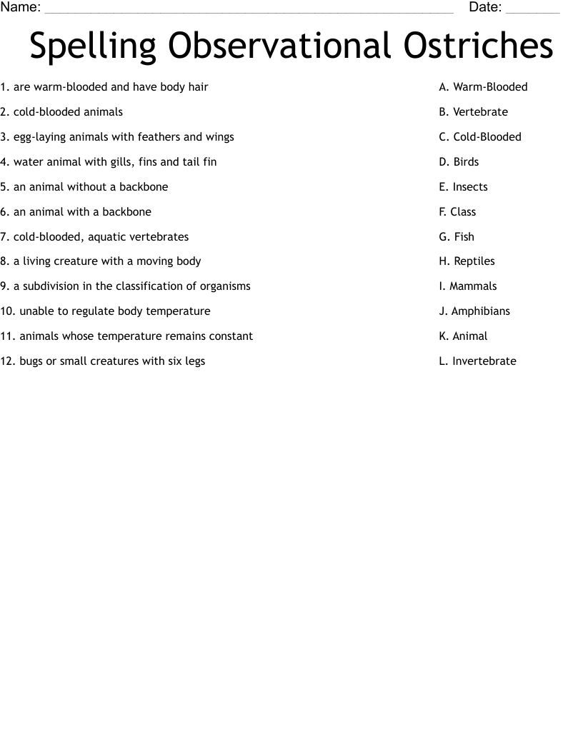 Spelling Observational Ostriches Worksheet