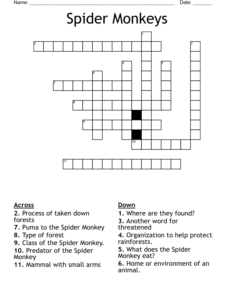 Spider Monkeys Crossword