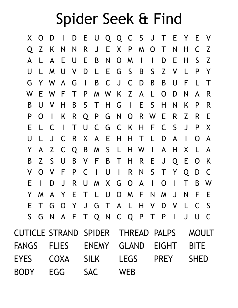Spider Seek & Find Word Search