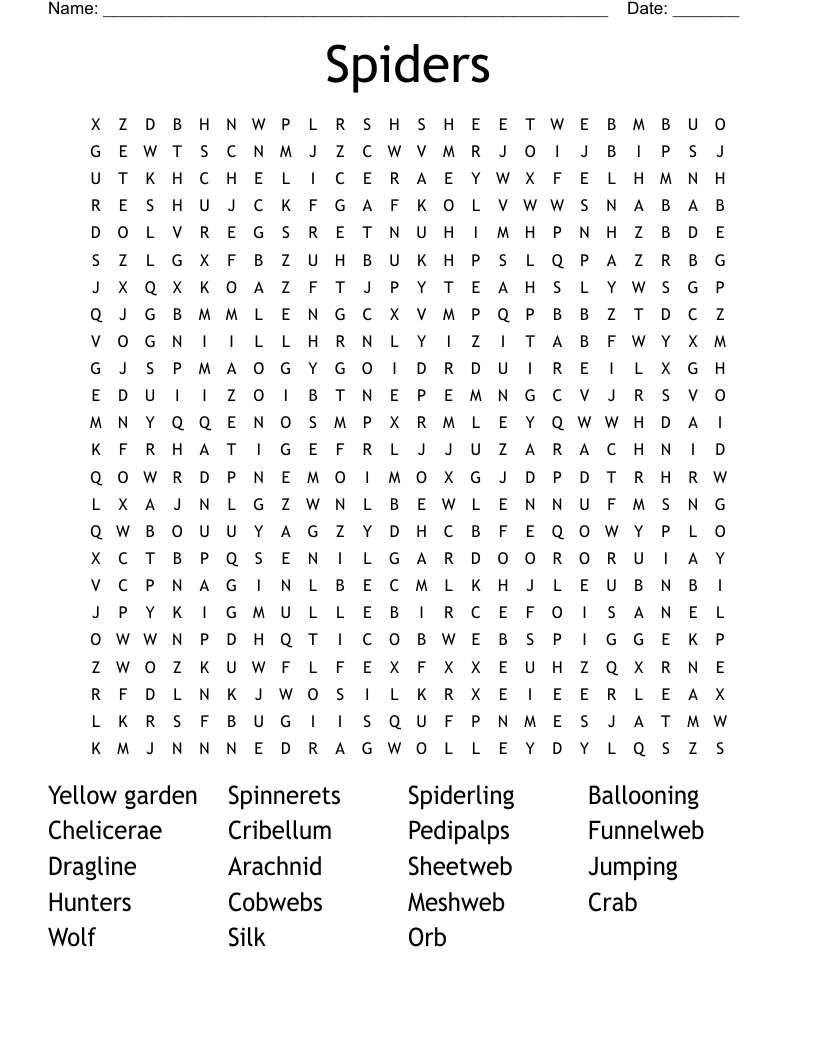 Spiders Word Search