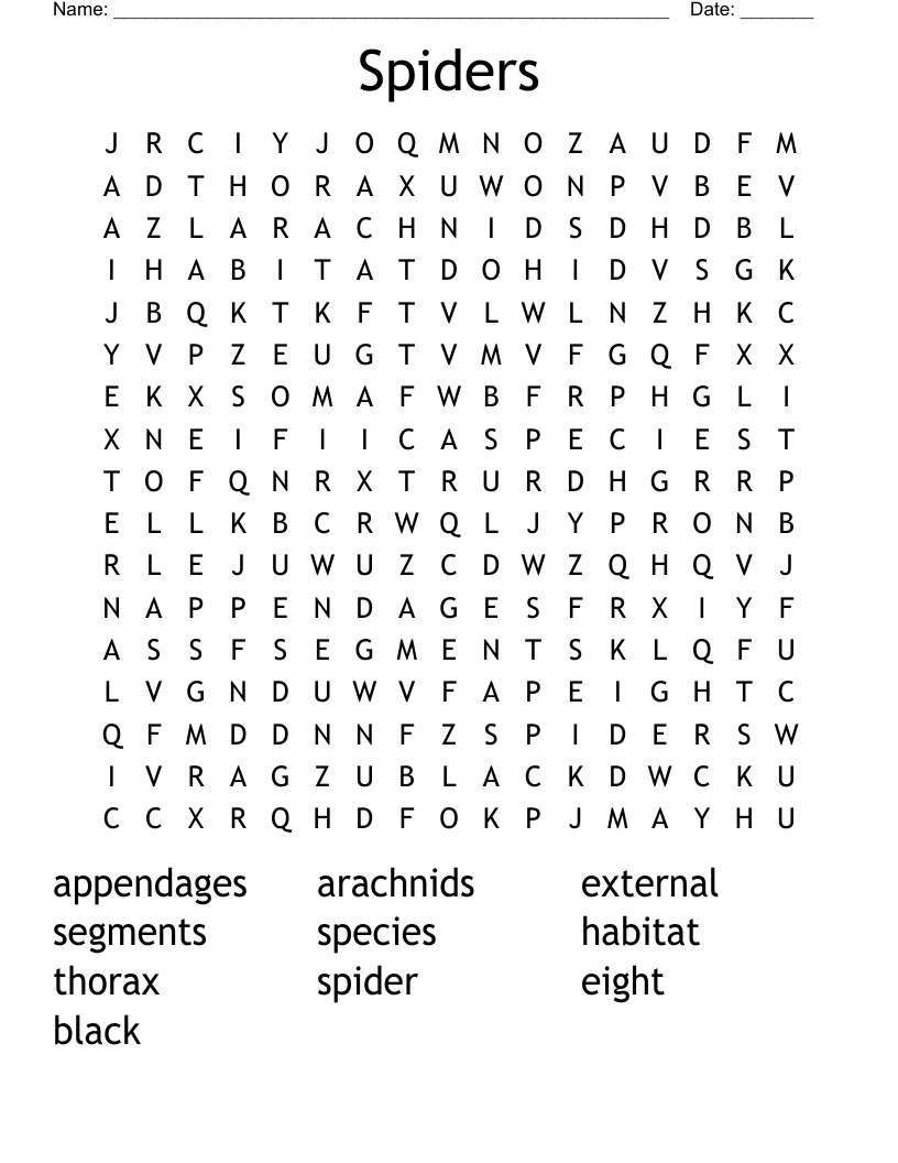 Spiders Word Search