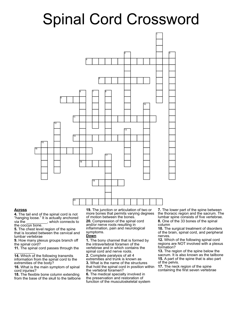 Spinal Cord Crossword