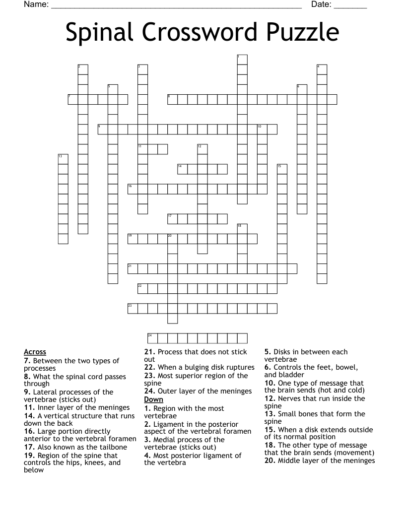 Spinal Crossword Puzzle