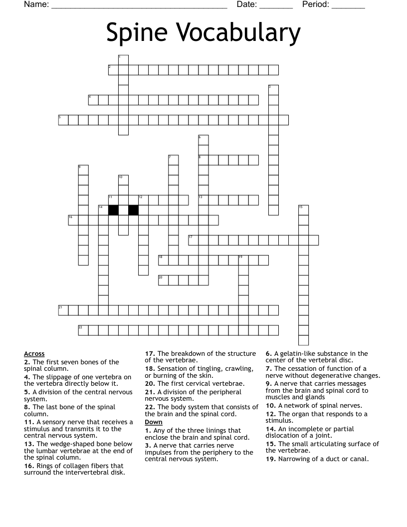 Spine Vocabulary Crossword