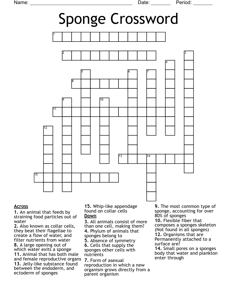 Sponge Crossword