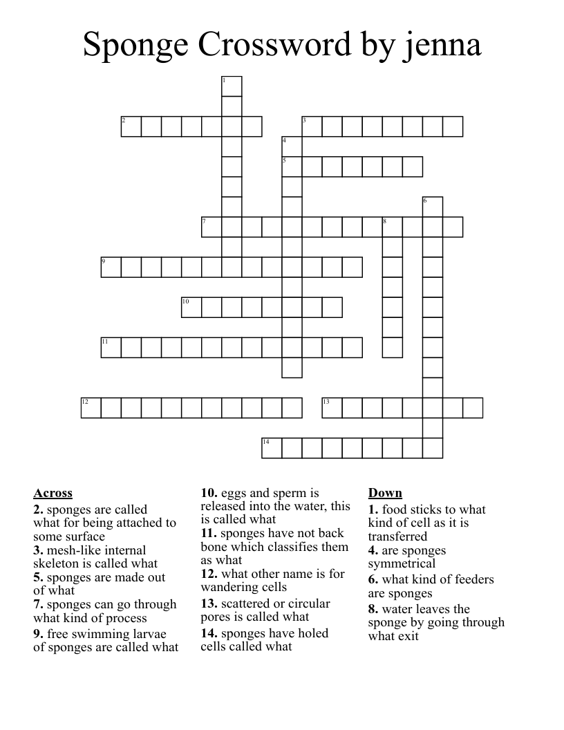 Sponge Crossword by jenna