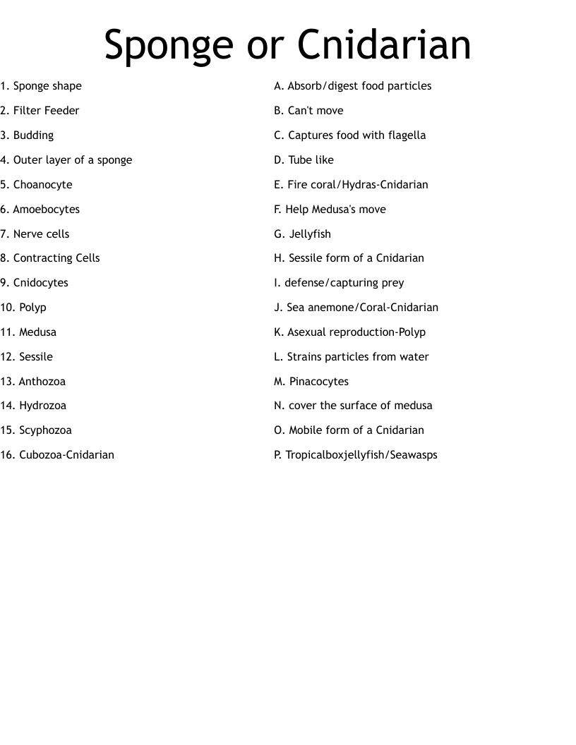 Sponge or Cnidarian Worksheet