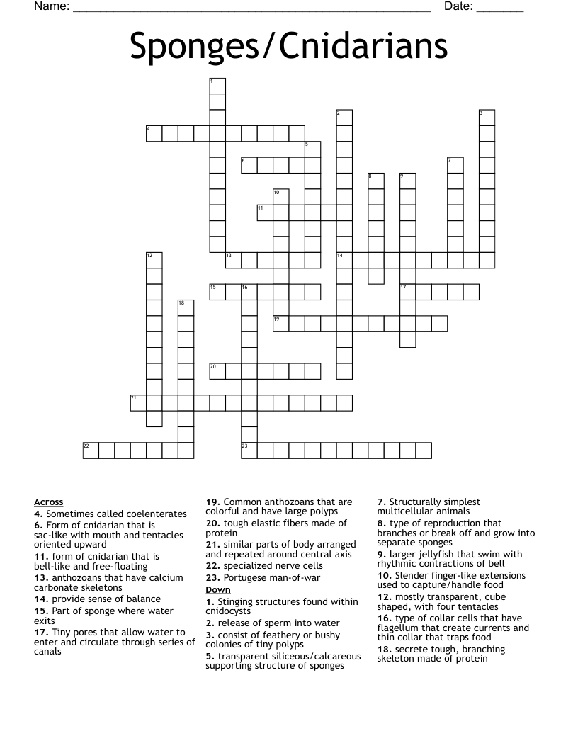 Sponges/Cnidarians Crossword