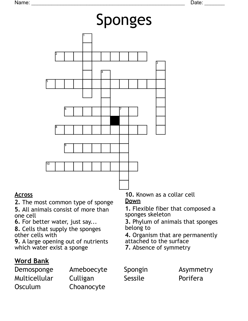 Sponges Crossword
