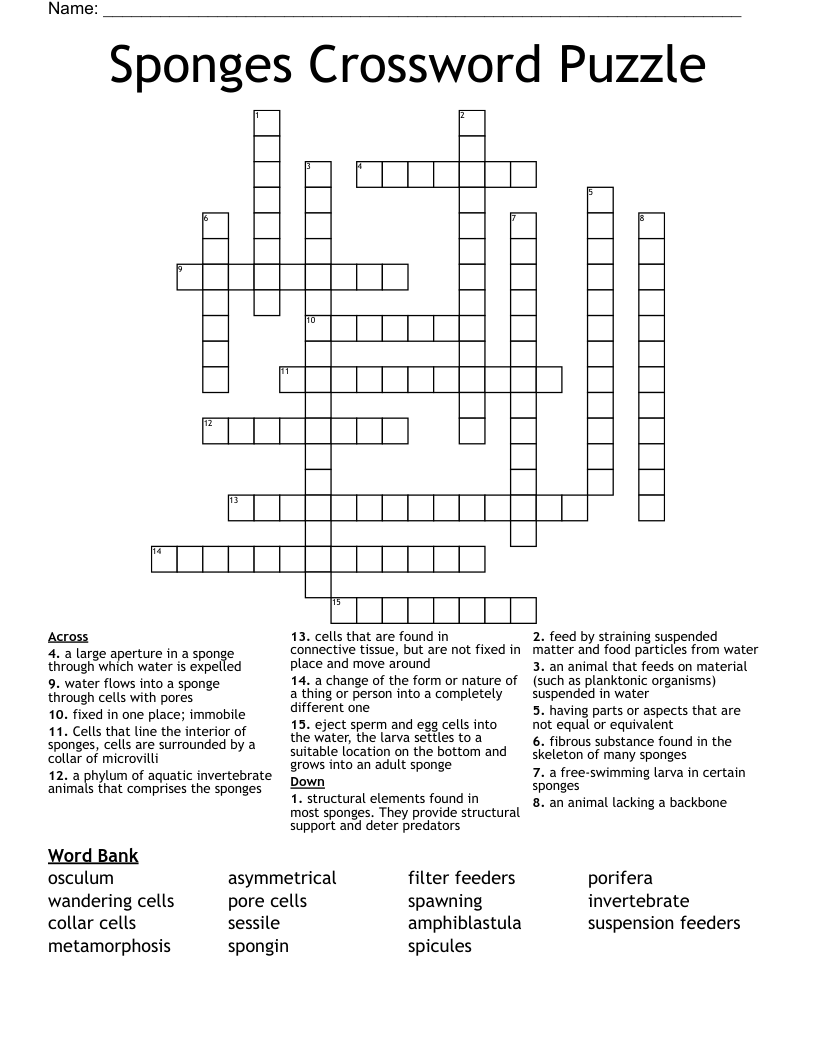 Sponges Crossword Puzzle