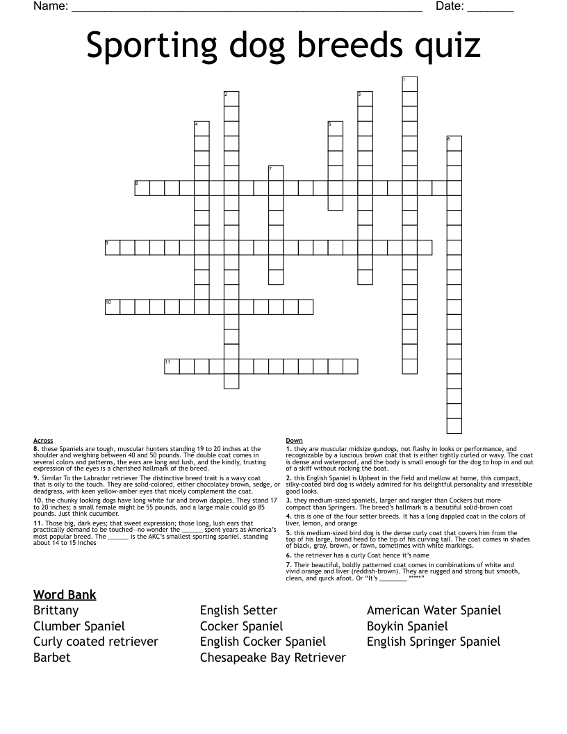 Sporting dog breeds quiz Crossword