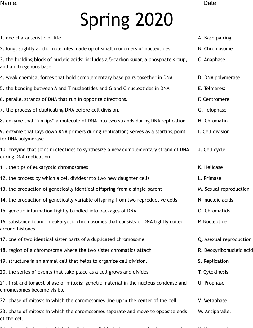 Spring 2020 Worksheet