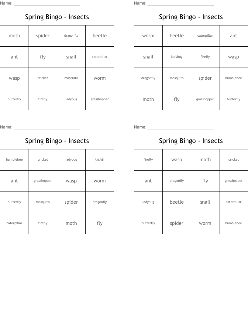 Spring Bingo - Insects