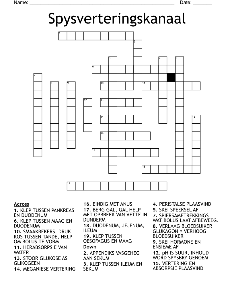 Spysverteringskanaal Crossword