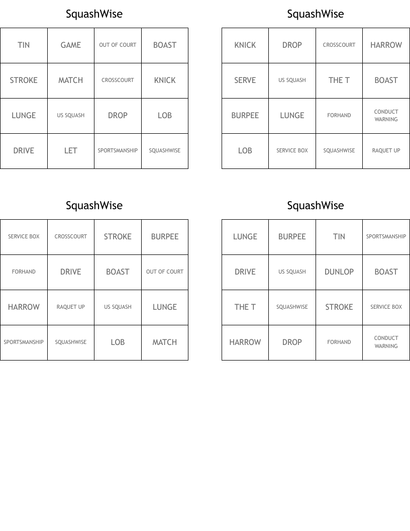 SquashWise Bingo Cards