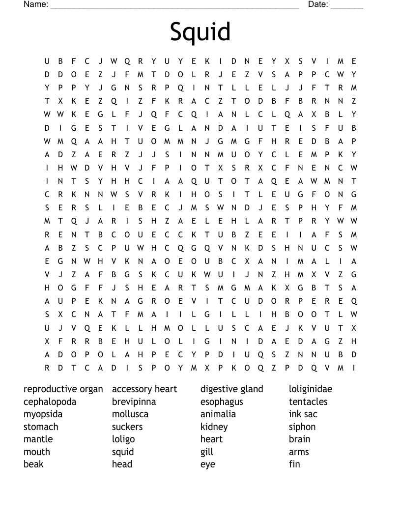 Squid Word Search