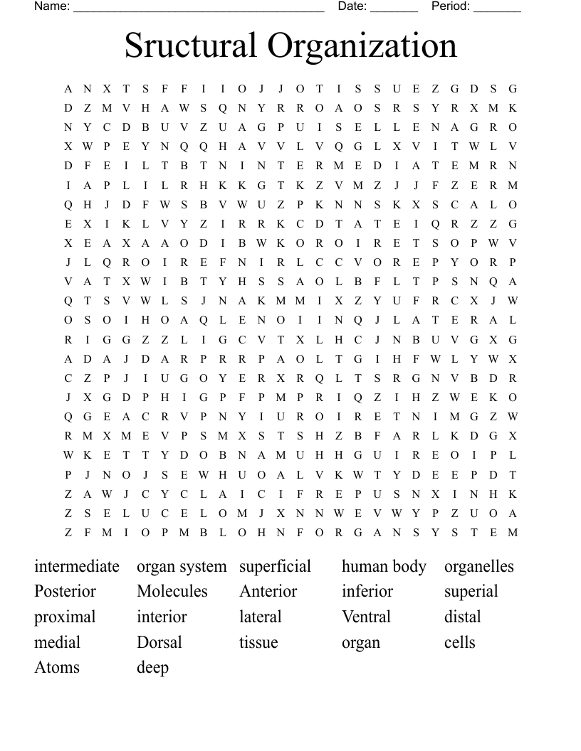 Sructural Organization Word Search