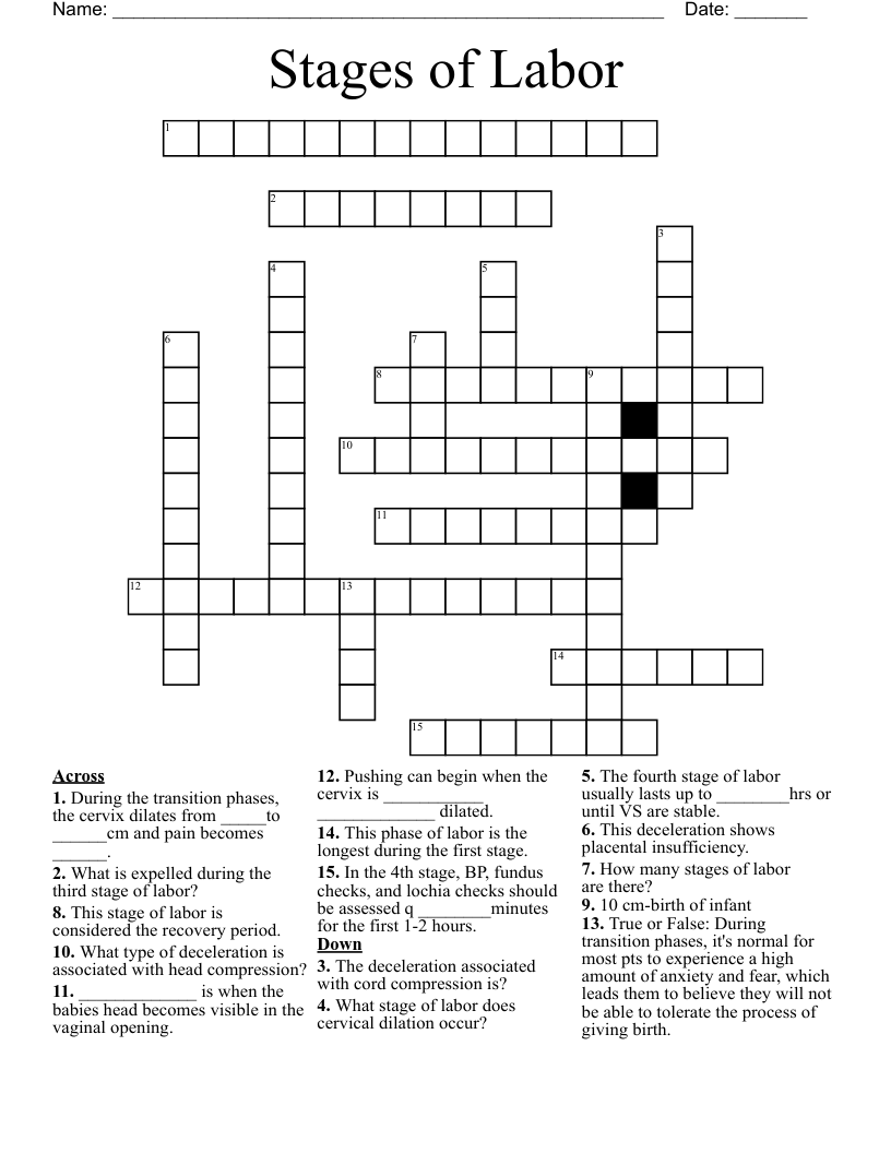 Stages of Labor Crossword