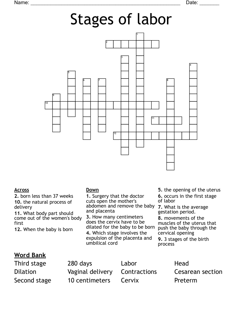 Stages of labor Crossword